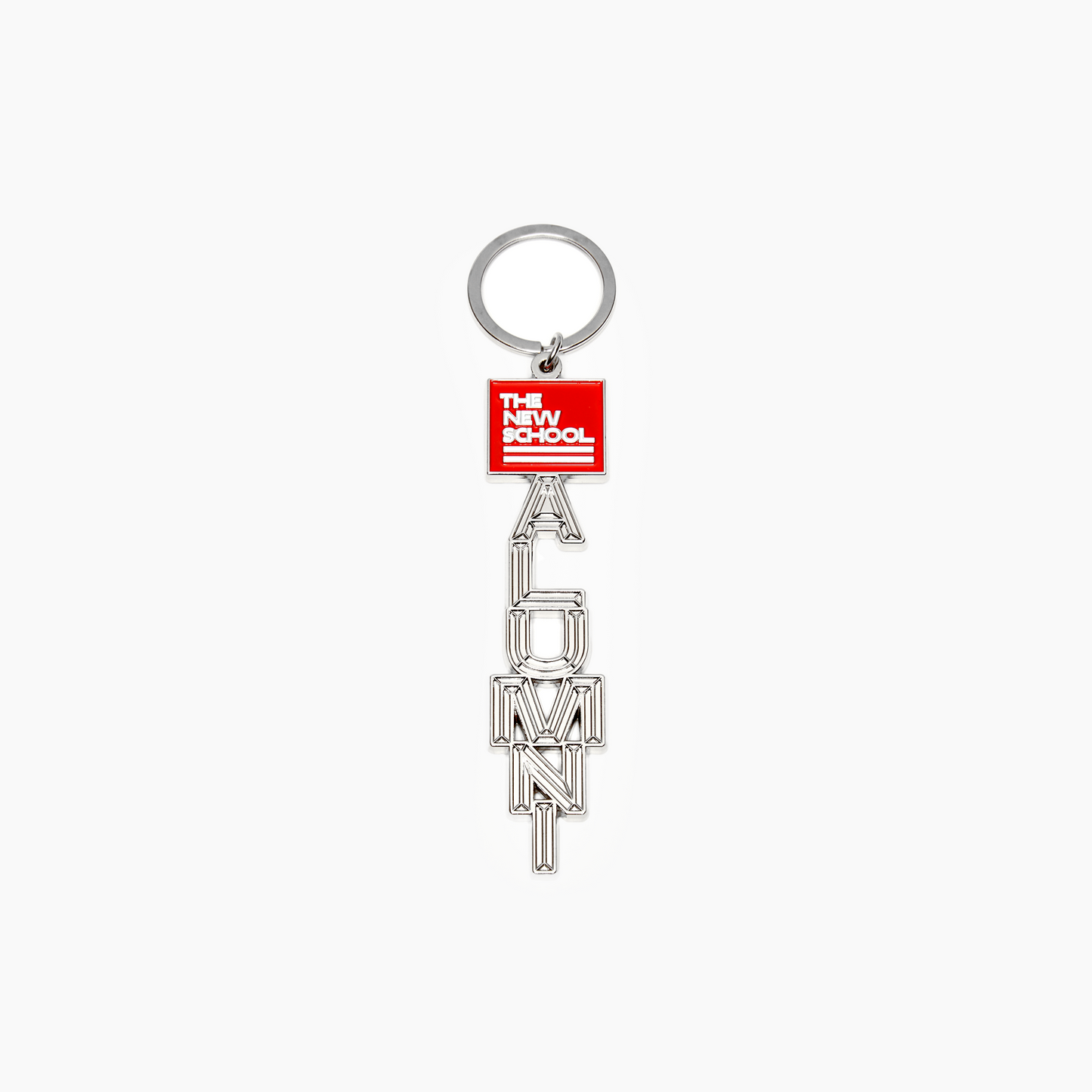 TNS Alumni Keychain
