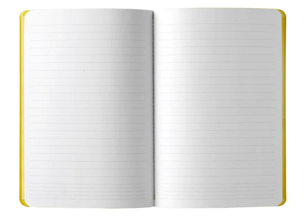 Pigna Notebook - Olimpia Zagnoli Singer Sewn Binding